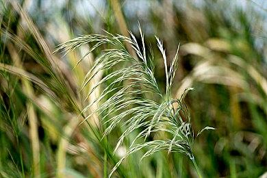 英国实体周榜：《塞尔达：王国之泪》毫无悬念稳定连冠